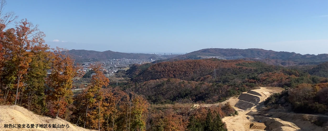 ゼオライトから生まれる